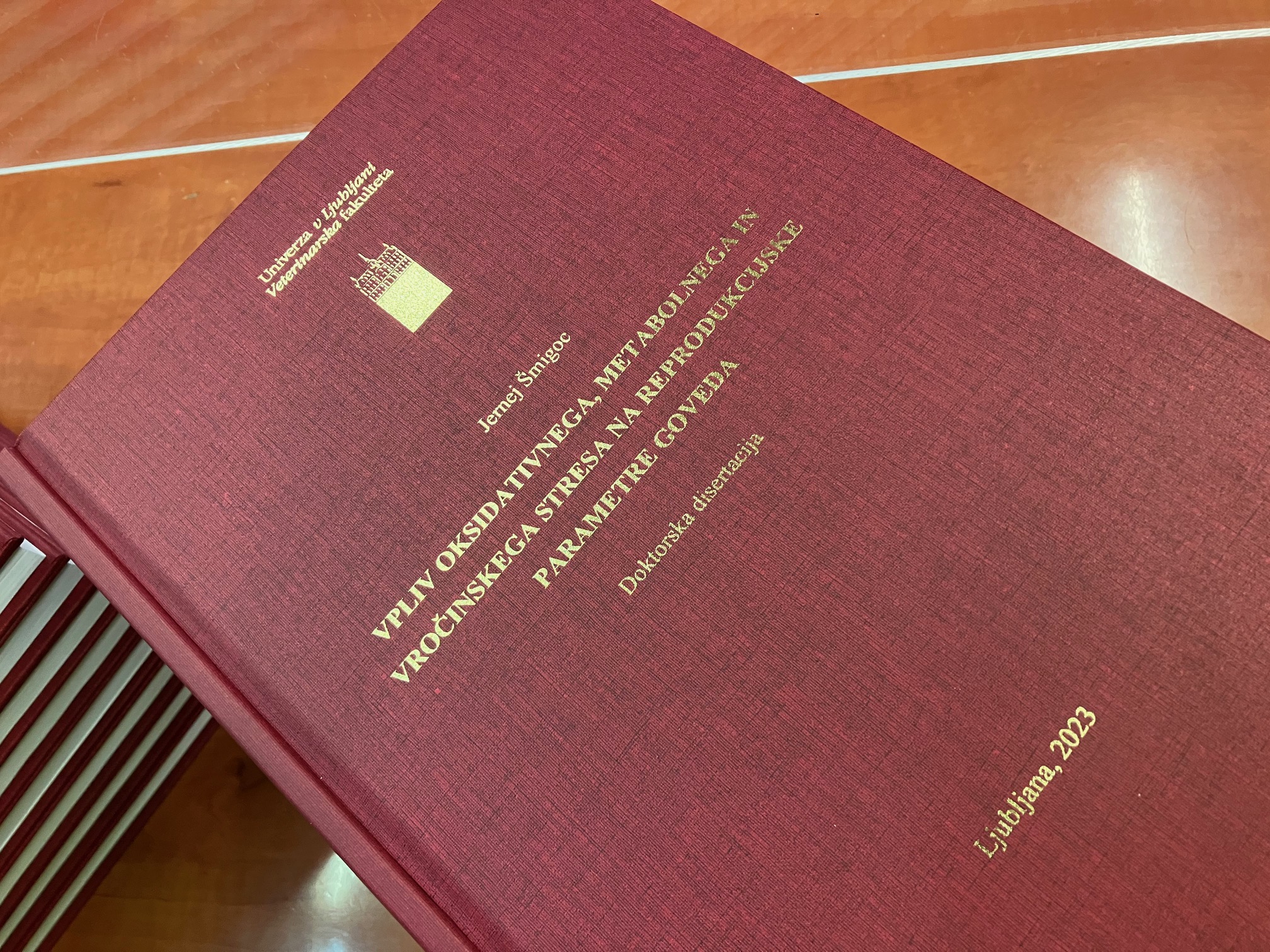 Tisk diplomske naloge — trda vezava z zlatim napisom